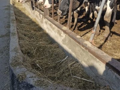 نهادههای دامی با تأخیر توزیع میشود