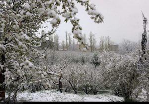 هشدار هواشناسی به ۲۵ استان؛ خسارت به محصولات کشاورزی با تشدید بارشها