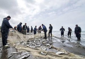 واگذاری بنادر ماهیگیری؛ گامی مؤثر در چابک‌سازی دولت