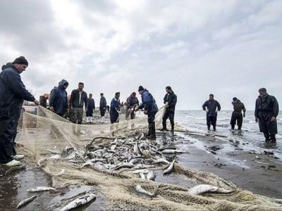 واگذاری بنادر ماهیگیری؛ گامی مؤثر در چابک‌سازی دولت