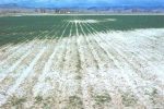 وسعت زمین‌های شور ایران به ۱۰ میلیون هکتار رسید/ با گسترش نگران‌کننده مواجهیم