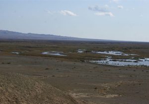 وضعیت نگرانکننده تالاب بندعلیخان؛ ۲ مصوبه رسمی دولت و استان هنوز وارد مرحله اجرا نشده است