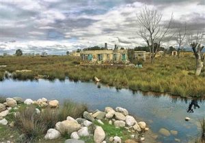 پاسخ وزیر میراث فرهنگی به محیط زیست: طرح گردشگری آشوراده اجرا میشود/ مصوبه داریم