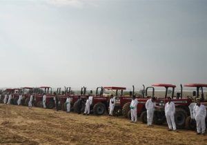 پیش‌بینی حمله ملخ صحرایی به ایران از ۳ مسیر؛ عربستان، آفریقا و پاکستان + فیلم