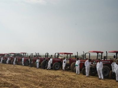 پیش‌بینی حمله ملخ صحرایی به ایران از ۳ مسیر؛ عربستان، آفریقا و پاکستان + فیلم