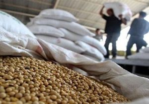 کاربرد فناوری هسته‌ای در جلوگیری از فساد سویا در انبار