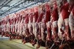 کاهش ۷ درصدی عرضه گوشت قرمز در آبان