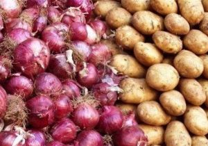 کمبودی در بازار میوههای ویژه شب یلدا وجود ندارد