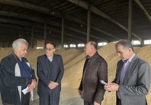 گشایش ارزی ۱٫۷ میلیارد دلاری برای تامین نهادههای دامی