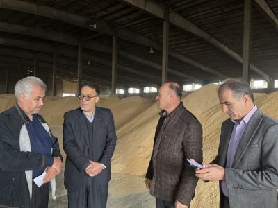 گشایش ارزی ۱٫۷ میلیارد دلاری برای تامین نهاده‌های دامی