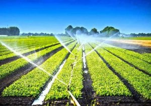 ۱۰۰ میلیون دلار تجهیزات آبیاری محصولات کشاورزی صادر شد