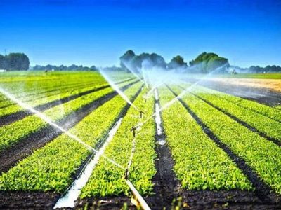 ۱۰۰ میلیون دلار تجهیزات آبیاری محصولات کشاورزی صادر شد