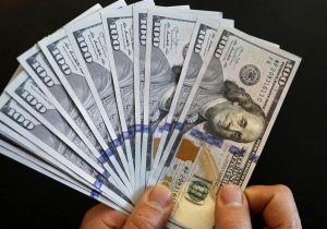 ۱۲میلیارد دلار واردات نهاده در یک سال؛ ریشه فشار ارزی در کجای کشاورزی است؟