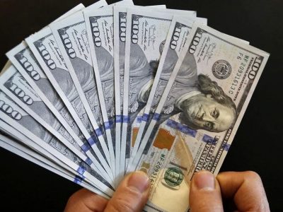 ۱۲میلیارد دلار واردات نهاده در یک سال؛ ریشه فشار ارزی در کجای کشاورزی است؟