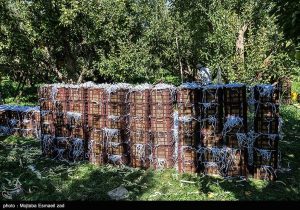 ۲ چالشی که امنیت تولیدات باغی را تهدید میکند/باغداری سنتی در برابر تغییر اقلیم!