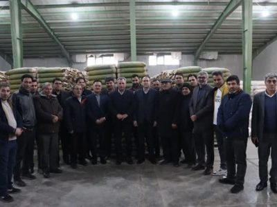 ۸۵ درصد نیاز بذر ذرت کشور را تأمین می‌کنیم