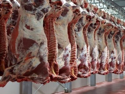 ۹۰ درصد گوشت قرمز از داخل تأمین می‌شود