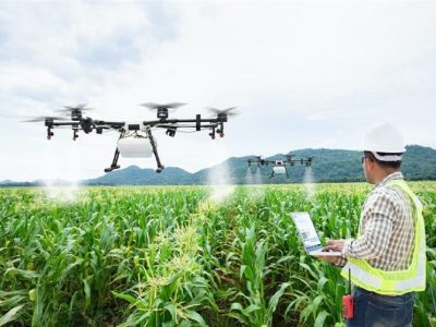 انرژی هسته‌ای و کشاورزی نوین؛ راهکاری برای کشاورزی پایدار