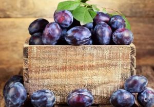 ایران در جایگاه ششم تولید جهانی آلو؛ ارزش ۱.۳ میلیارد دلاری صادرات آلو تازه