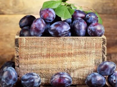 ایران در جایگاه ششم تولید جهانی آلو؛ ارزش ۱.۳ میلیارد دلاری صادرات آلو تازه