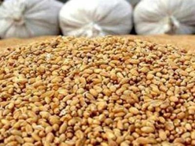 بسته حمایتی دولت برای تولیدکنندگان پس از حذف ارز ۲۸۵۰۰