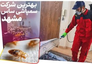 بهترین شرکت سمپاشی ساس مشهد [ بدون تخلیه با ضمانت کتبی ]