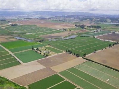 رفع تداخلات شرط اساسی صدور سند اراضی کشاورزی است