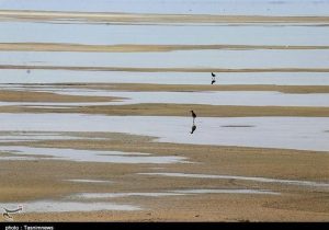 روایت تلخ تالاب میقان ؛ استخراج معدنی چگونه میقان را خشک کرد؟