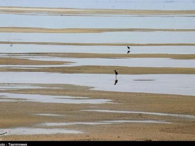 روایت تلخ تالاب میقان ؛ استخراج معدنی چگونه میقان را خشک کرد؟