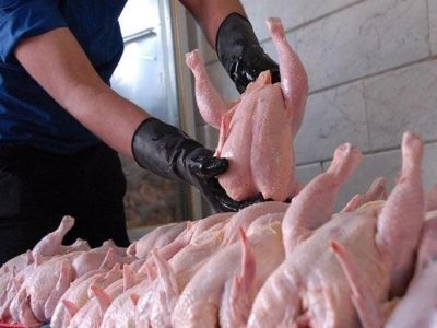 شکستن رکورد جوجهریزی در آغاز حذف ارز ترجیحی