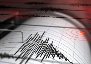 فوری/ بوشهر لرزید