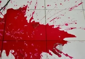 ماجرای هولناک از قتل دختر جوان توسط برادرش در شاهرود