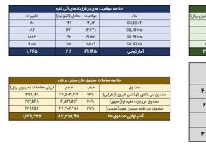 معامله ۷۴۴ کیلوگرم شمش نقره در بورس کالا