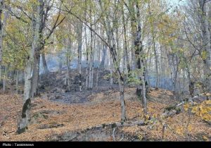 «نجات آب» ــ ۵۲ | صیانت از پوشش گیاهی بالادست حوضه آبریز