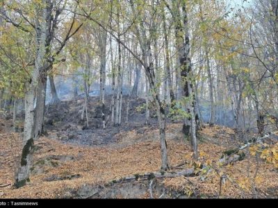 «نجات آب» ــ ۵۲ | صیانت از پوشش گیاهی بالادست حوضه آبریز