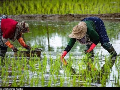 «نجات آب» ــ ۵۳ | آموزش زنان کشاورز در مناطق کم‌برخوردار