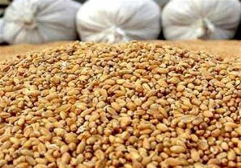 پرداخت تسهیلات برای خرید نهاده با حذف ارز ترجیحی پرداخت تسهیلات برای خرید نهاده با حذف ارز ترجیحی