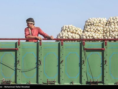 اعلام نرخ رسمی خرید تضمینی سیب‌زمینی و پیاز