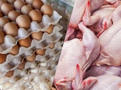 جزئیات کاهش قیمت مرغ، تخم مرغ و گوشت قرمز در بازار