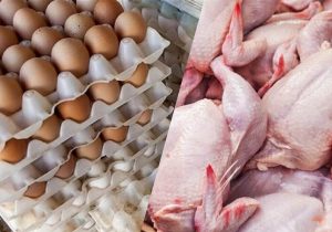 رقابتی شدن تولید مرغ با حذف ارز ترجیحی