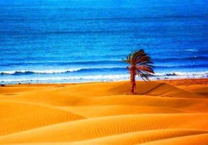 ساحل «دَرَک»بلوچستان؛جایی که کویر و دریا در آغوش هم دیدنی میشوند+فیلم