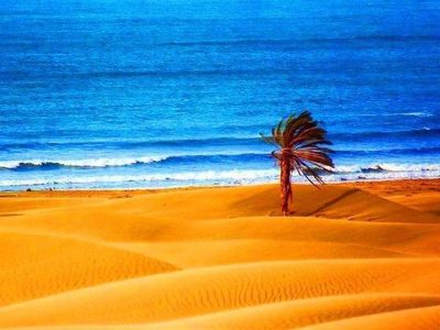 ساحل «دَرَک»بلوچستان؛جایی که کویر و دریا در آغوش هم دیدنی می‌شوند+فیلم