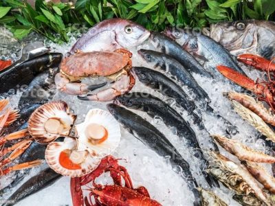 صادرات  محصولات شیلاتی ایران به ۶۱ کشور جهان