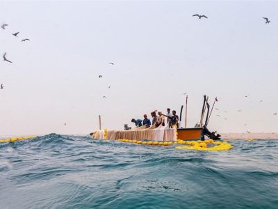 صیانت از ذخایر نقره‌ای خلیج‌فارس؛ توقف صید برای بقای دریا