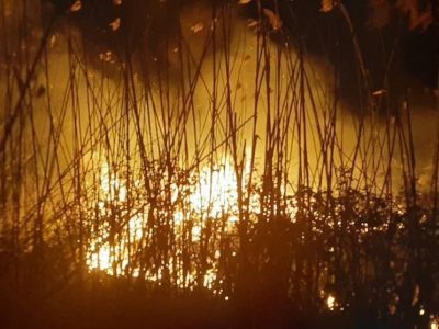 علت آتش‌سوزی گسترده در تالاب انزلی چه بود؟