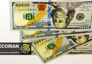 قیمت دلار امروز دوشنبه ۱۳ بهمن/ کاهش قیمت دلار + جدول