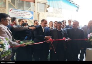 واردات ۶ میلیون تن نهاده دامی و کالاهای اساسی به کشور