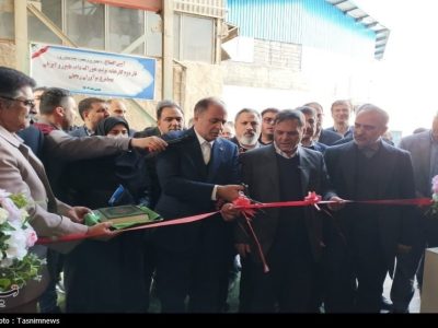 واردات ۶ میلیون تن نهاده دامی و کالاهای اساسی به کشور