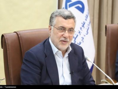 وزیر بهداشت: طرح نظام ارجاع را اصولی و با ثبات دنبال می‌کنیم
