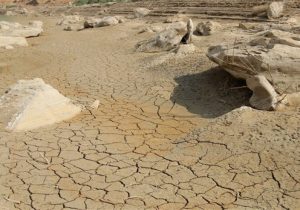 کاشان و آران وبیدگل در بدترین وضعیت خشکسالی